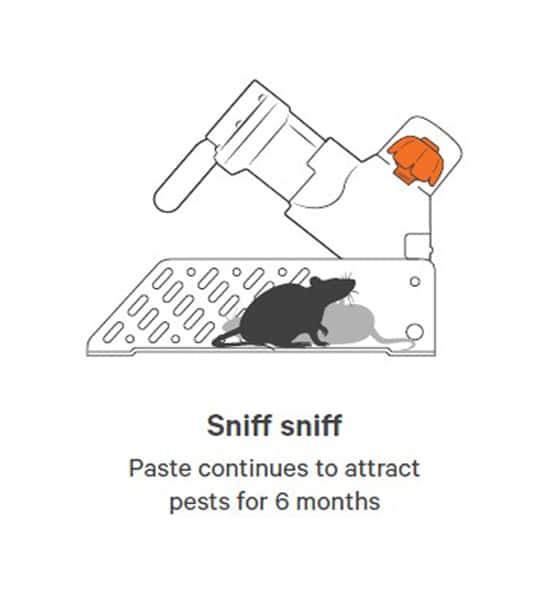 Gallagher Goodnature A24 Starter Rodent Trap Kit - Image 6