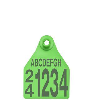 Shearwell Shearwell BOS Large Female Tag