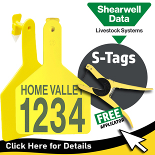 Allflex NLIS Tags